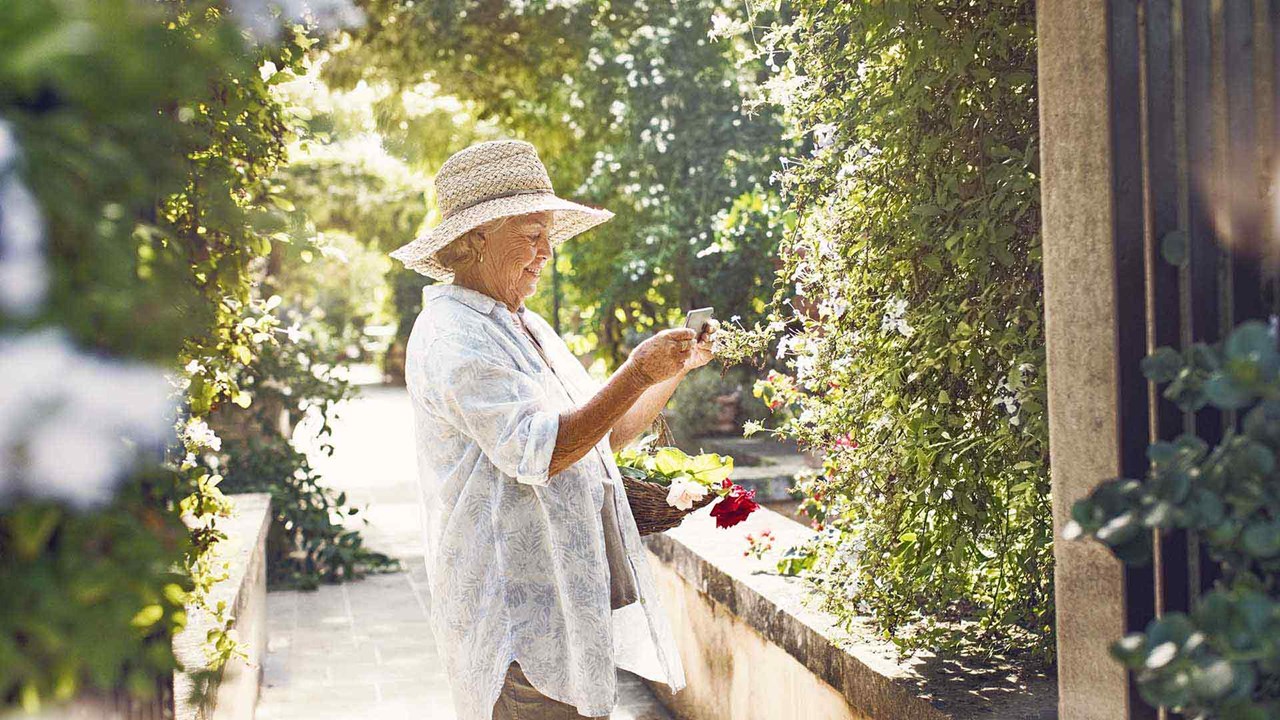 Mulheres idosas apanhando flores no jardim
